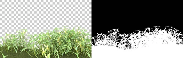 Трава Изолирована Заднем Плане Маской Рендеринг Иллюстрация — стоковое фото