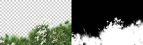 Gräs Isolerad Bakgrund Med Mask Återgivning Illustration — Stockfoto
