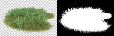 Çimenler arka planda maskeyle izole edilmiş. 3d görüntüleme - illüstrasyon