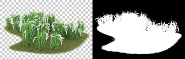 Gräs Isolerad Bakgrund Med Mask Återgivning Illustration — Stockfoto