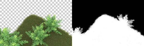 Трава Ізольована Фоні Маскою Візуалізація Ілюстрація — стокове фото