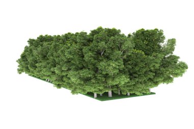 Realistic forest isolated on white background. 3d rendering - illustration