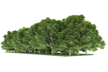 Realistic forest isolated on white background. 3d rendering - illustration