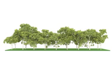 Realistic forest isolated on white background. 3d rendering - illustration