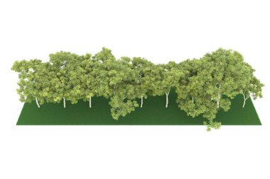 Realistic forest isolated on white background. 3d rendering - illustration