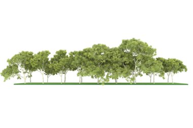 Realistic forest isolated on white background. 3d rendering - illustration