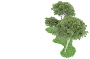 Realistic forest isolated on white background. 3d rendering - illustration