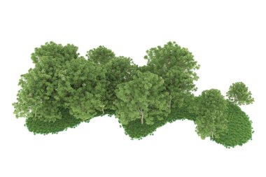 Realistic forest isolated on white background. 3d rendering - illustration