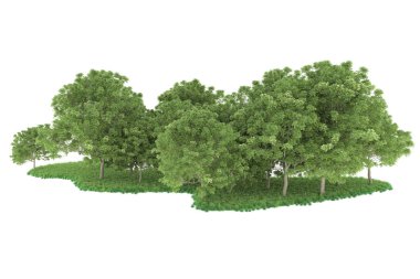Realistic forest isolated on white background. 3d rendering - illustration