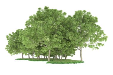 Realistic forest isolated on white background. 3d rendering - illustration