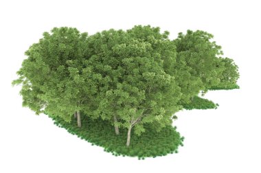 Realistic forest isolated on white background. 3d rendering - illustration