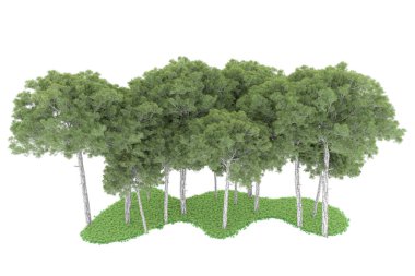 Realistic forest isolated on white background. 3d rendering - illustration