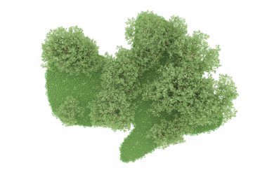 Realistic forest isolated on white background. 3d rendering - illustration