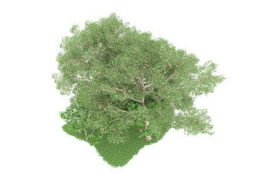 Realistic forest isolated on white background. 3d rendering - illustration