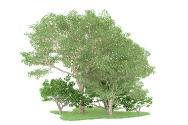 Realistic forest isolated on white background. 3d rendering - illustration