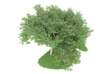 Realistic forest isolated on white background. 3d rendering - illustration