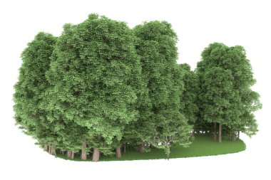 Realistic forest isolated on white background. 3d rendering - illustration