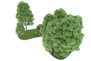 Realistic forest isolated on white background. 3d rendering - illustration