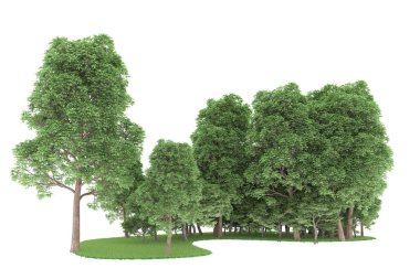 Realistic forest isolated on white background. 3d rendering - illustration