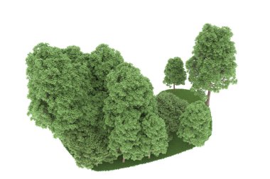 Realistic forest isolated on white background. 3d rendering - illustration
