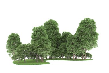 Realistic forest isolated on white background. 3d rendering - illustration