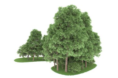Realistic forest isolated on white background. 3d rendering - illustration