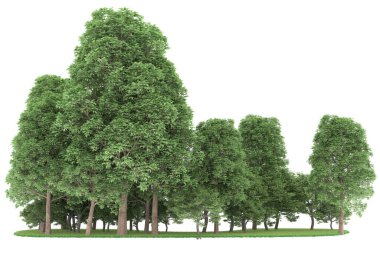 Realistic forest isolated on white background. 3d rendering - illustration