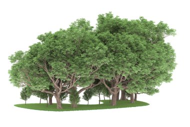 Realistic forest isolated on white background. 3d rendering - illustration