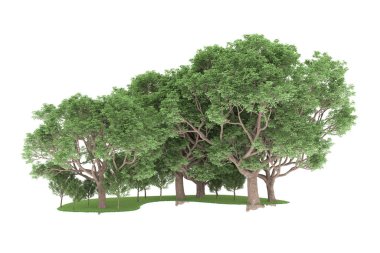 Realistic forest isolated on white background. 3d rendering - illustration