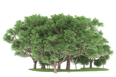 Realistic forest isolated on white background. 3d rendering - illustration