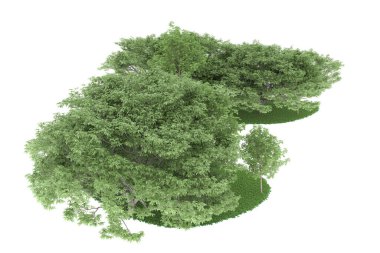 Realistic forest isolated on white background. 3d rendering - illustration