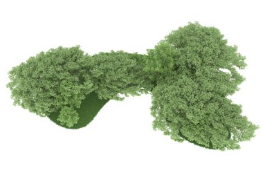 Realistic forest isolated on white background. 3d rendering - illustration