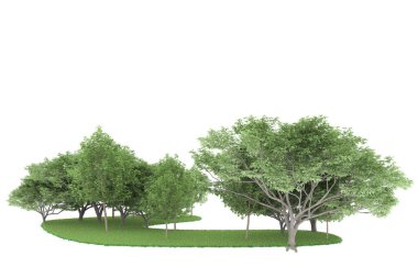 Realistic forest isolated on white background. 3d rendering - illustration