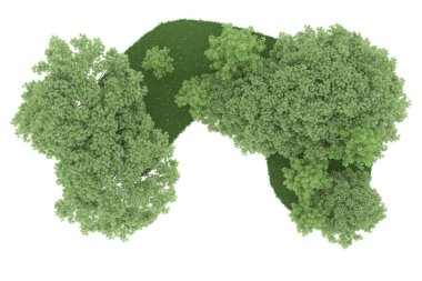 Realistic forest isolated on white background. 3d rendering - illustration