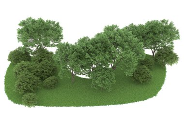 Realistic forest isolated on white background. 3d rendering - illustration