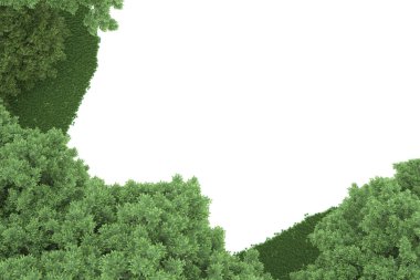 Realistic forest isolated on white background. 3d rendering - illustration