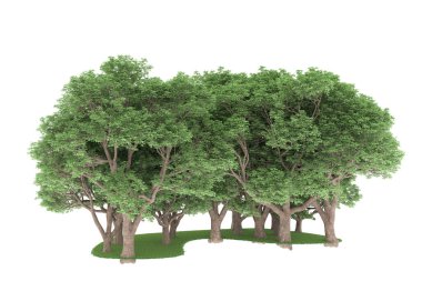 Realistic forest isolated on white background. 3d rendering - illustration