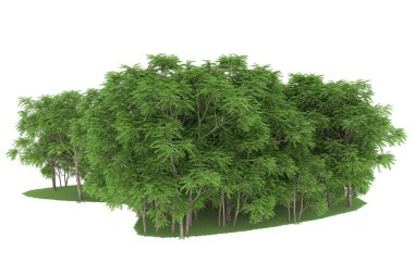 Realistic forest isolated on white background. 3d rendering - illustration