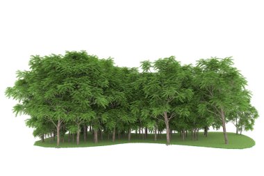 Realistic forest isolated on white background. 3d rendering - illustration