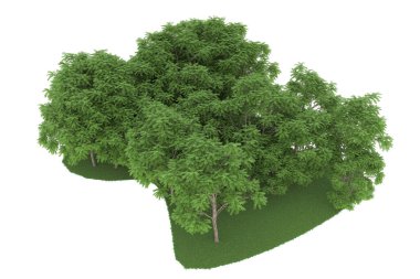 Realistic forest isolated on white background. 3d rendering - illustration