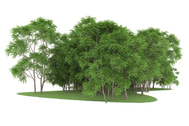 Realistic forest isolated on white background. 3d rendering - illustration