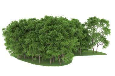 Realistic forest isolated on white background. 3d rendering - illustration