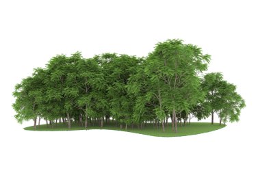 Realistic forest isolated on white background. 3d rendering - illustration