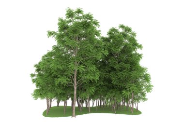 Realistic forest isolated on white background. 3d rendering - illustration