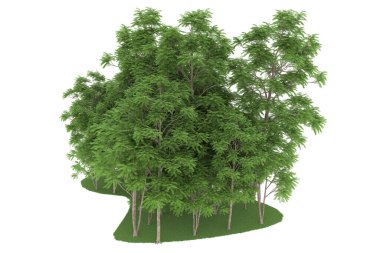 Realistic forest isolated on white background. 3d rendering - illustration