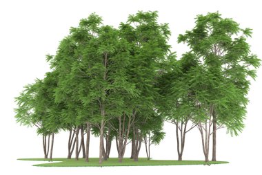 Realistic forest isolated on white background. 3d rendering - illustration