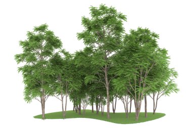Realistic forest isolated on white background. 3d rendering - illustration