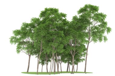 Realistic forest isolated on white background. 3d rendering - illustration