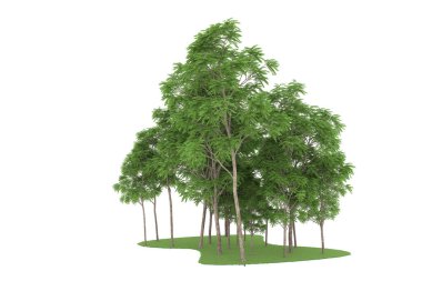 Realistic forest isolated on white background. 3d rendering - illustration