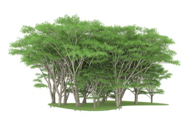 Realistic forest isolated on white background. 3d rendering - illustration